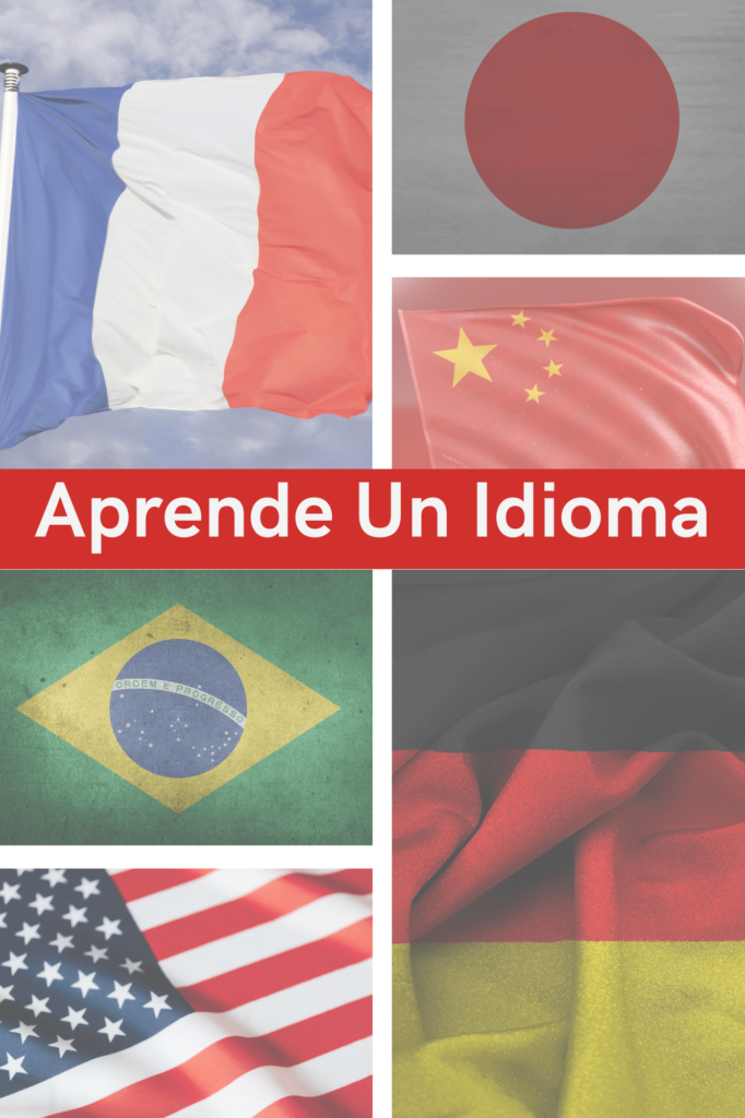 Idiomas: Inglés, Japonés, Chino, Alemán, Portugués, Francés